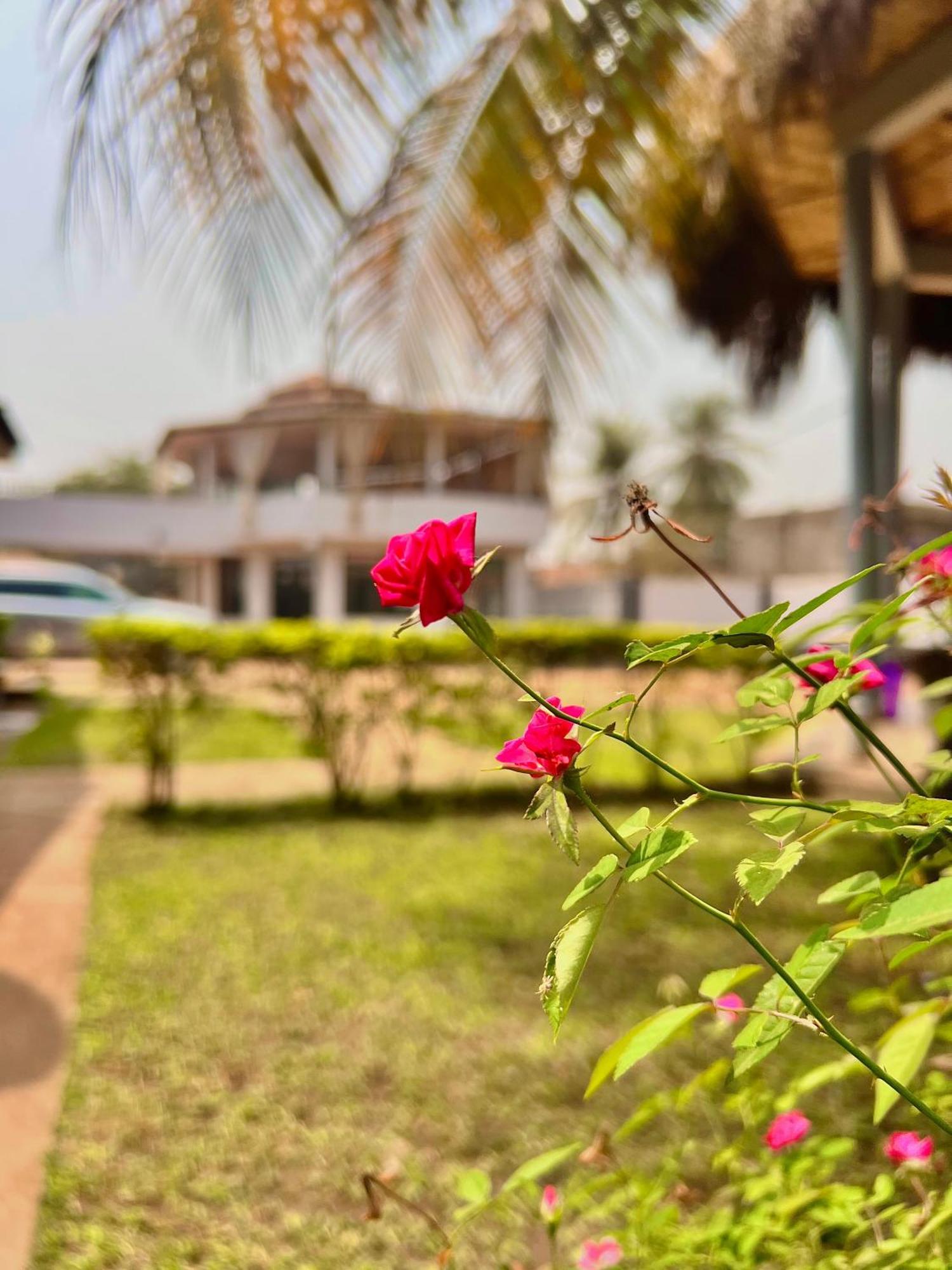 Paloma Guest House Kenema Kültér fotó